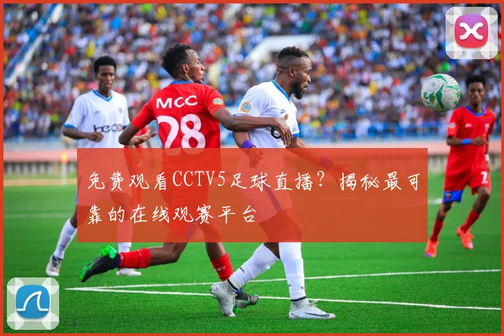 免费观看CCTV5足球直播?揭秘最可靠的在线观赛平台